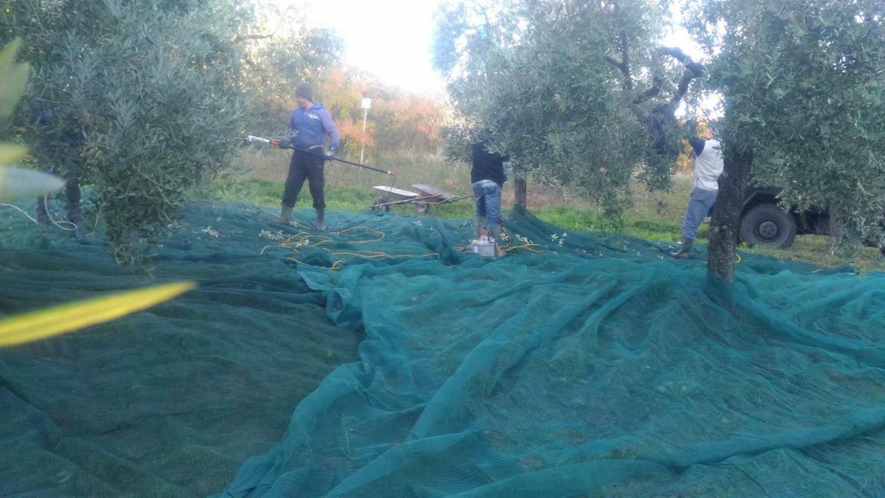 Baduerughe - Valledellago Poggio Mirteto Buitenkant foto